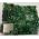Fujitsu Siemens AH531 Notebook Anakart DA0FH5MB6F0 REV F Mainboard
