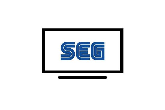 SEG 39" 39226B SAT FHD LED TV Tamir Hizmeti