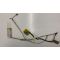 Asus X54H, K54L Lcd Flex Data Led LVDS Kablo