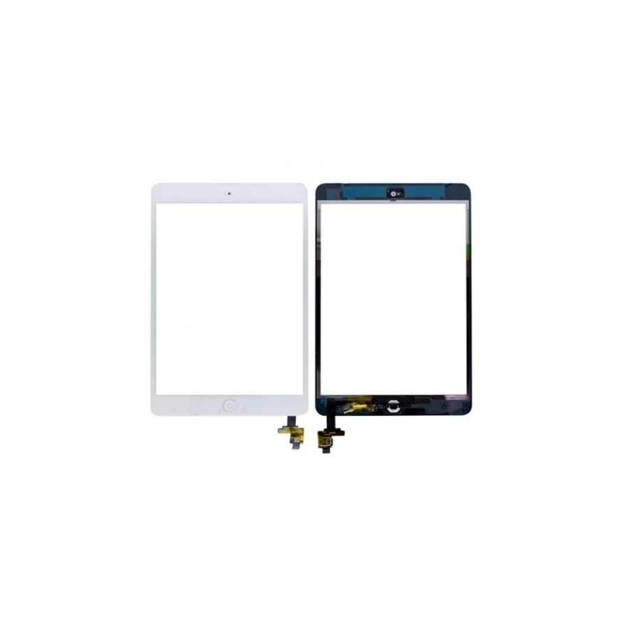 Apple iPad Dokunmatik Panel değişimi
